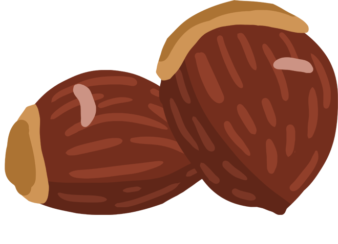 chestnut