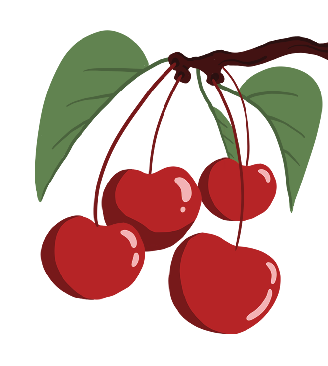 Cherries are a small, round, red-colored fruit