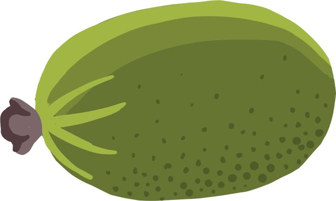Feijoa is an egg-shaped fruit with a green skin