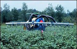 Watermelon being sprayed with an air-assisted sprayer