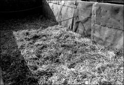 Truck bed lined with straw