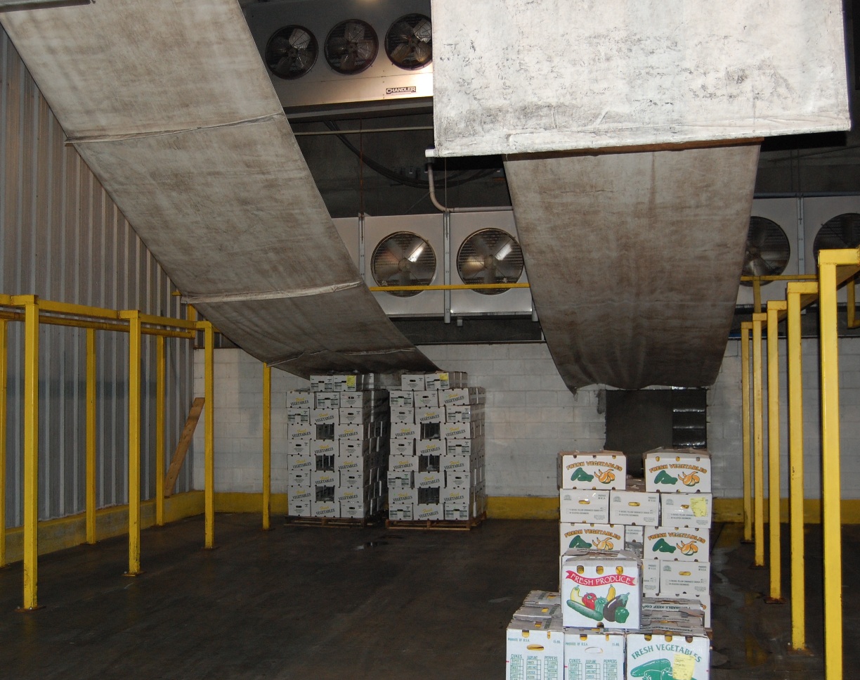 Figure 1. A typical commercial tunnel-type forced-air cooling
system in Georgia (Courtesy of Lewis Taylor Farm).