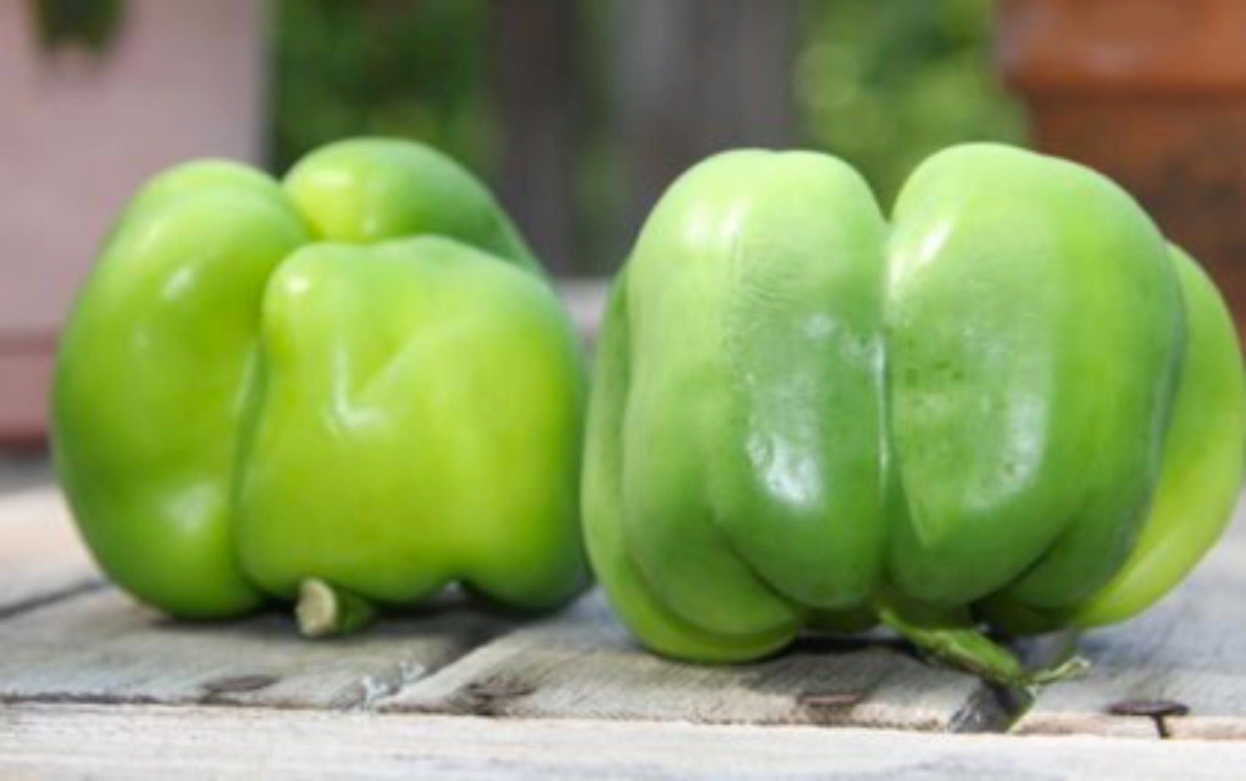 green bell peppers