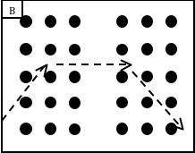 Random walk scouting diagram