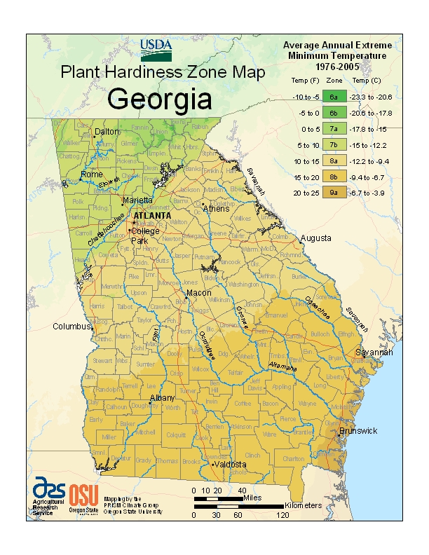 Georgia plant hardiness zone map. Zones range from 6a in the mountains to 9a along the coast