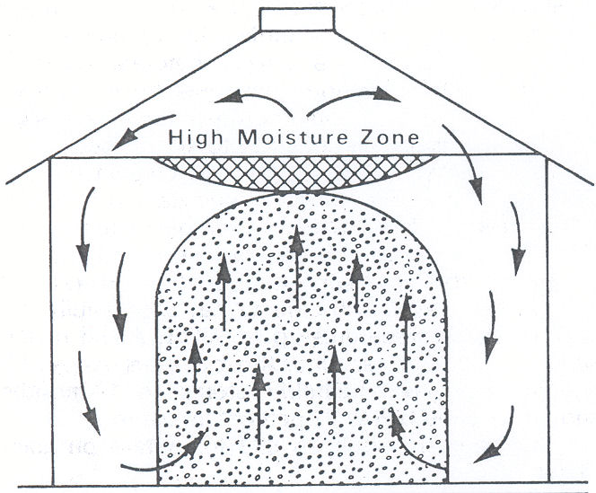 Grain tank convection air currents rise in the middle to a high moisture zone at the top, then fall around the sides