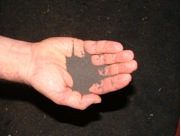 Hand holding processed sludge