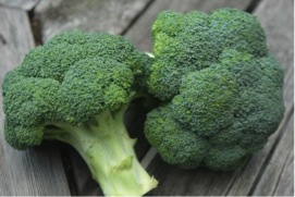 Growing Broccoli in a Home Garden