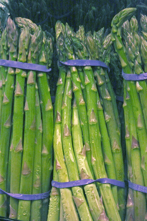 asparagus