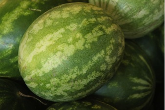 watermelon