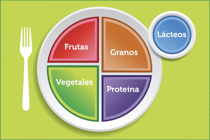 Plate diagram divided into into four parts labeled fruits, grains, vegetables, and proteins, with a cup to the side labeled dairy.