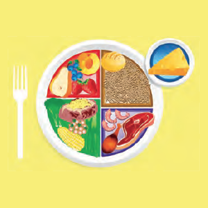 Plate diagram divided into 4 sections with images of the corresponding food groups - fruit, grain, vegetable, and protein - and a cup representing dairy