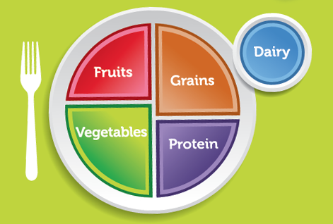 Plate diagram divided into into four parts labeled fruits, grains, vegetables, and proteins, with a cup to the side labeled dairy.