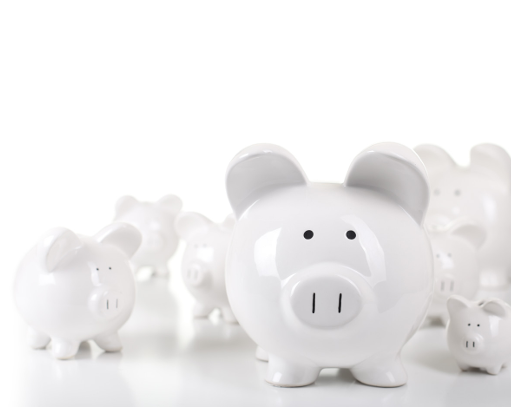 White piggy banks of varying sizes