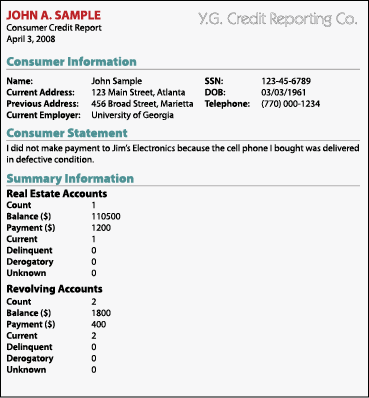 Sample credit report showing consumer and summary information.