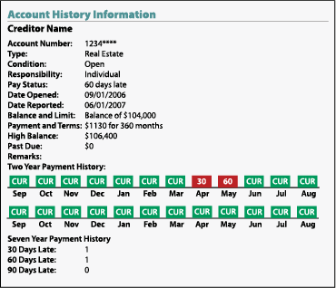 Sample credit report showing account history information