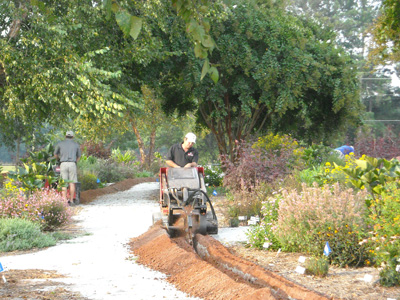 irrigation contractor digging trench