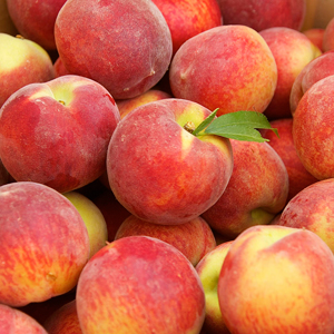 Why You Should Eat Georgia Peaches