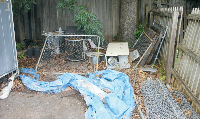 pile of debris in a fenced in backyard which may attract the tawny crazy ant.