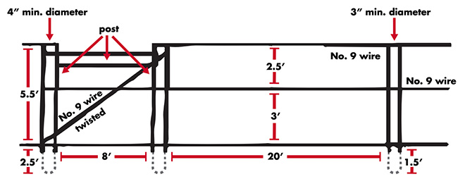 A two-wire trellis also uses posts that are 5 feet aboveground, with the first wire 3 feet off the ground and the second at the top of the post. The posts should be a minimum of 3 inches in diameter, with anchor posts at least 4 inches.