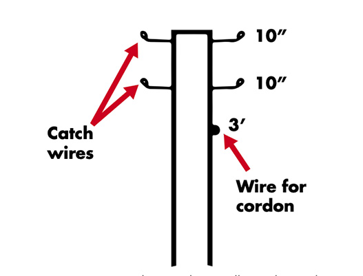 The single wire low trellis with catch wire has a wire for the cordon at 3 feet off the ground and two catch wires set 10 inches apart above the cordon wire.