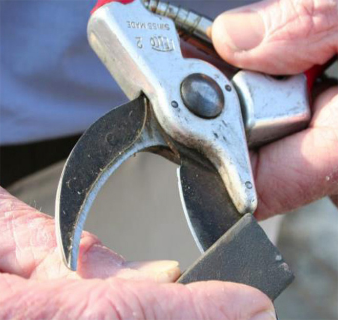 A closeup of shears being sharpened with a honing block