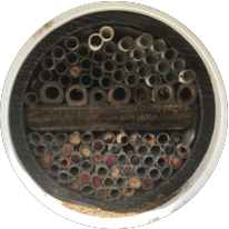 Mason bee paper tubes