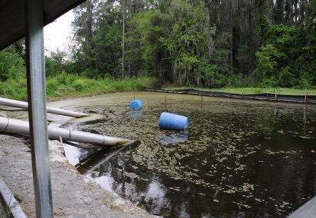 inlet pipes running from irrigation ponds