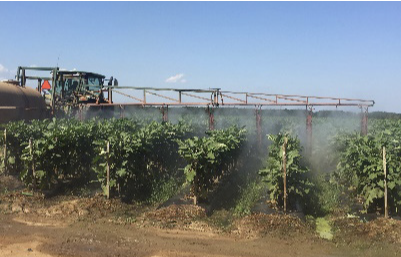 Insecticides being sprayed on crops