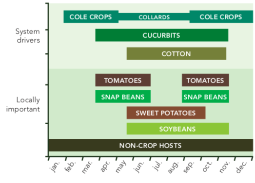 Chart shows that there are both crop and noncrop hosts for SLWF throughout the year.
