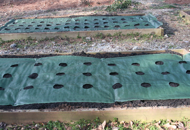 Learn the benefits of using Cladco Heavy Duty Weed Mat and how to