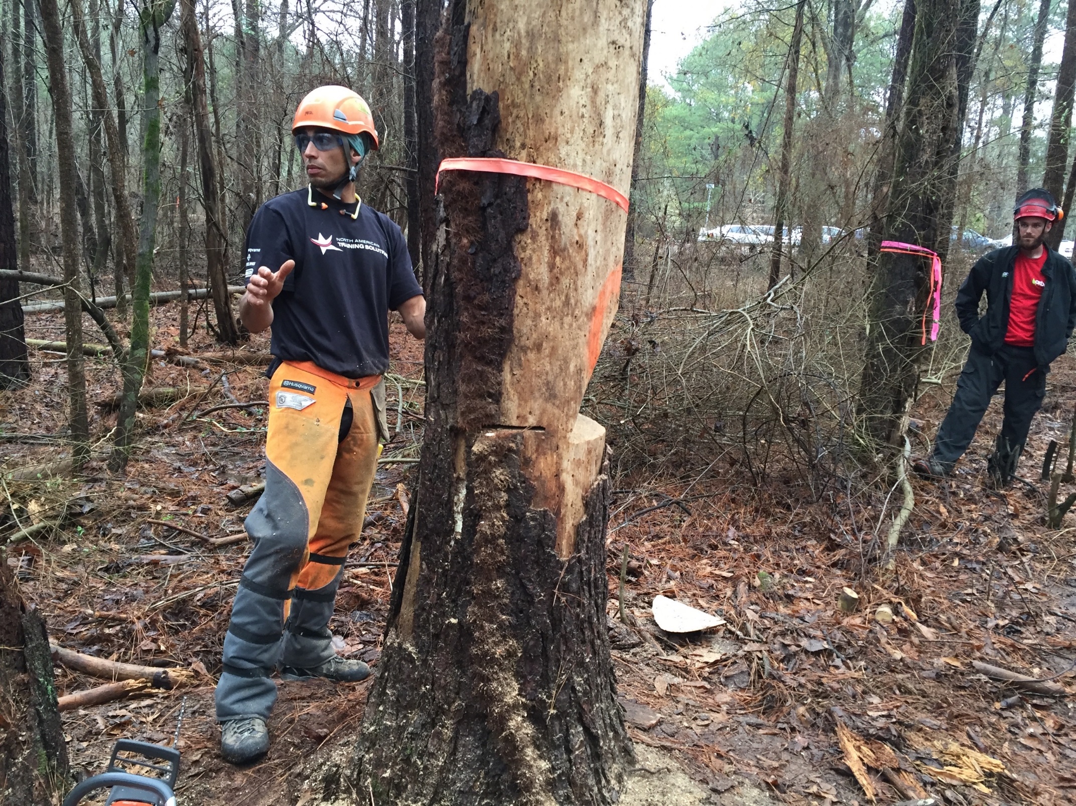 Man in protective gear for a chainsaw