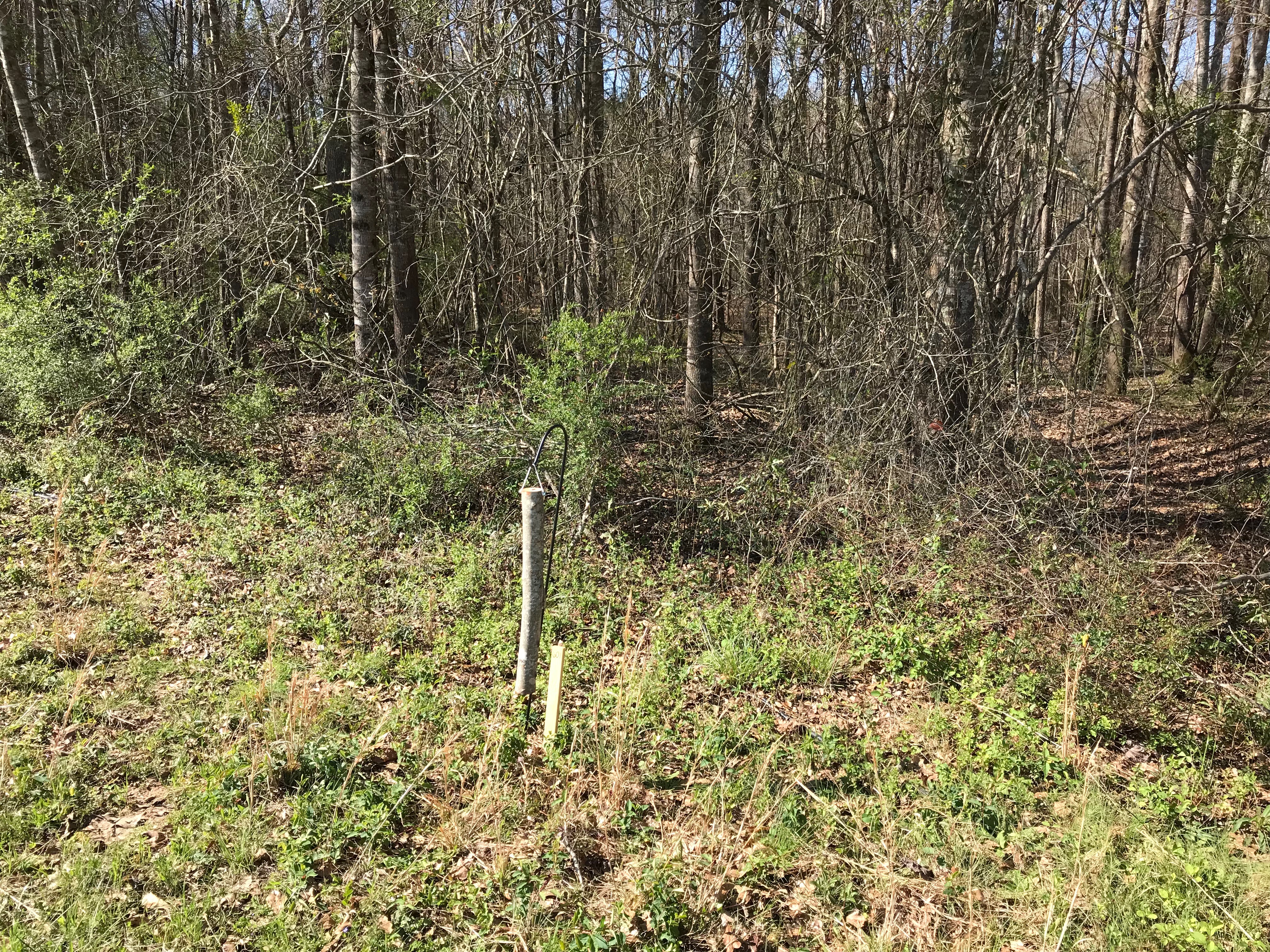 Bolt trap at the edge of a wooded area