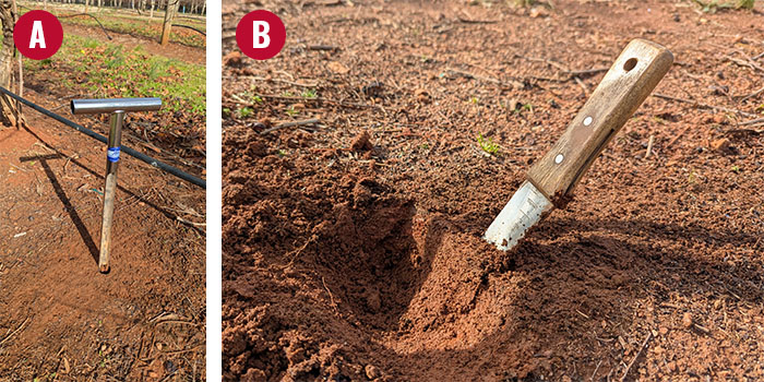 two photographs depicting first a soil probe stuck into a soil patch and second a hand trowel stuck in to a patch of soil