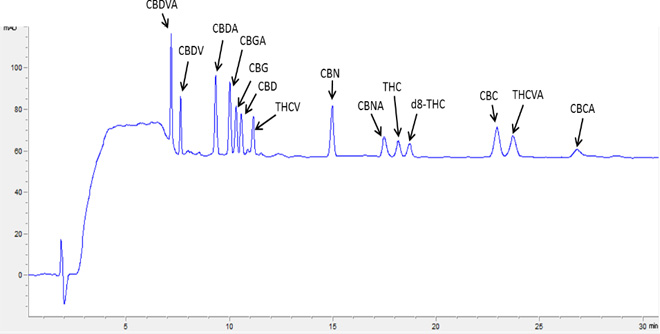 Output graph from an HPLC machine