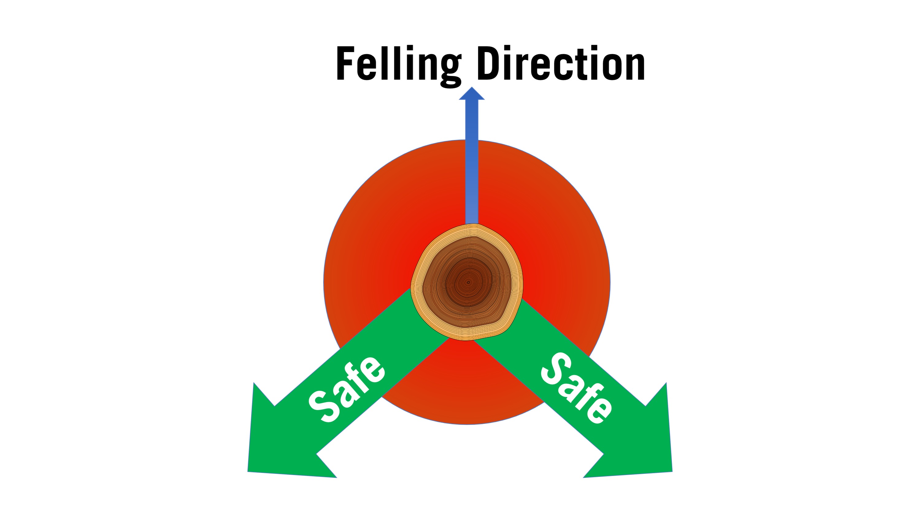 If the felling direction is straight ahead, the safe zone is the area 45 degrees away from either side of the felling direction.