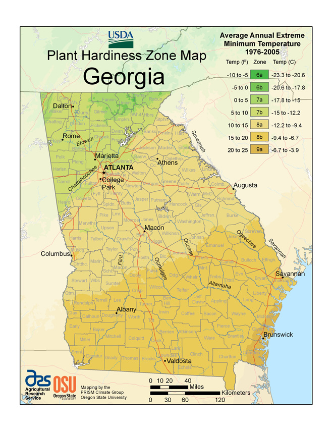 USDA plant hardiness zone map of Georgia. The zones range from 6a to 9a and are based on the average annual extreme minimum temperature between 1976-2005. The coast is mostly zone 9a, and the coastal plain throughout the southern third of the state is zone 8b. The middle third, including most of the east border, is zone 8a. The northwest third, north of Atlanta, is mostly 7b with a few areas of 7a, 6b, and 6a in the mountains.