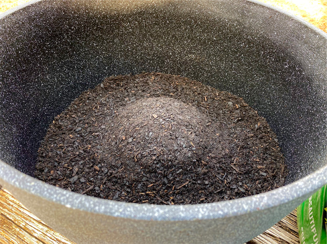 Plant pot with a mound of soil in the center and a lower soil level around the edges.