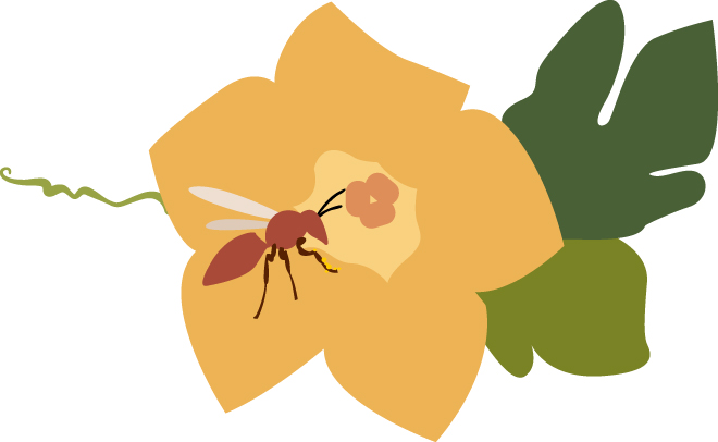 Illustration of a wasp on a flower