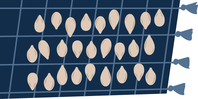 illustration of seeds laid out on a cloth