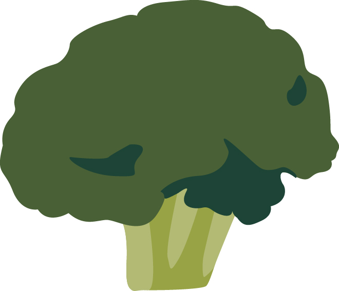 head of broccoli represents the Brassicaceae family and is an example of a dry-seeded crop