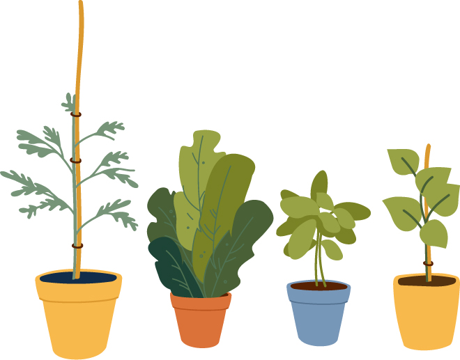 Illustration of potted plants of varying shapes and sizes