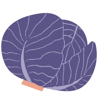 Purple cabbage