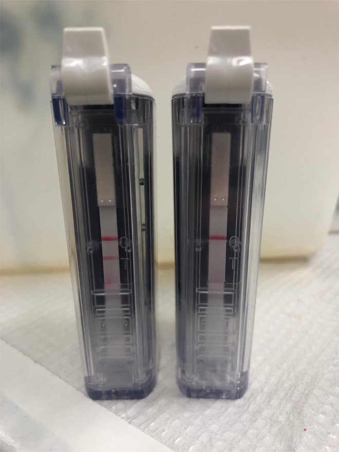 Two test result chambers with the left chamber showing two distinct lines along the test strip in the control and test areas; the right chamber shows just one line along the test strip in the control area.