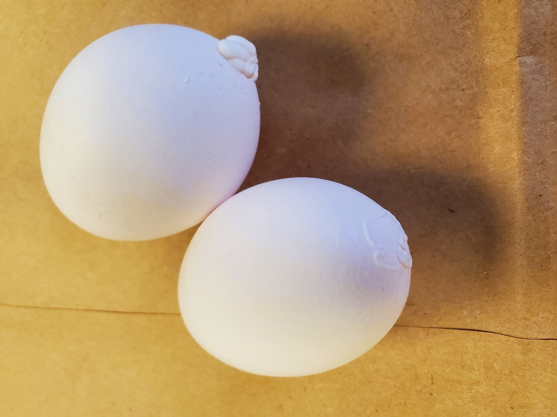 White egg with large, irregular, white bumps on the surface