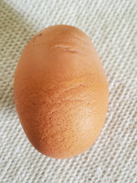 A lightly corrugated egg has less-deep folds in the egg shell, but it is not smooth.