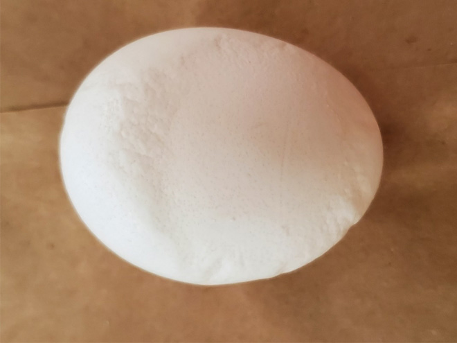 a slab-sided egg viewed from above has a wrinkled texture around the slab area of the shell, and the slab appears flatter than the round eggshell