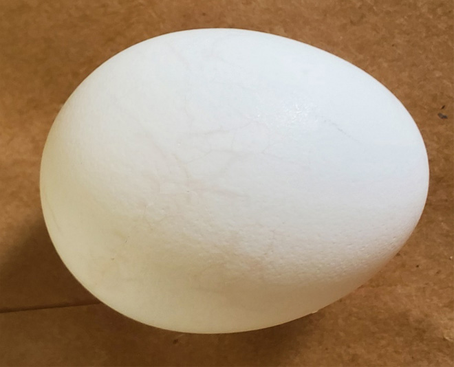 Cracked eggs have visible cracks in the shell, which appear slightly lighter in color than the rest of the eggshell