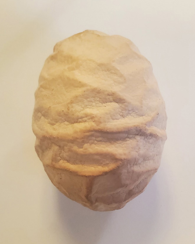 A very corrugated eggshell looks like crumpled paper, with a very rough eggshell surface.