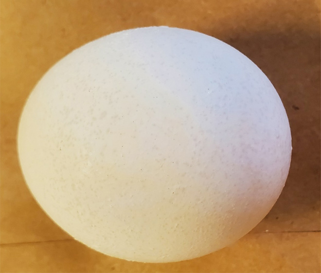 When viewed in normal lighting conditions, mottled eggs are very similar to normal eggs, but the spotted surface is visible.